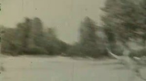 1979 ГДР Дальгов