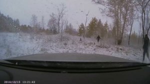 Внедорожная гонка на Субару Форестер