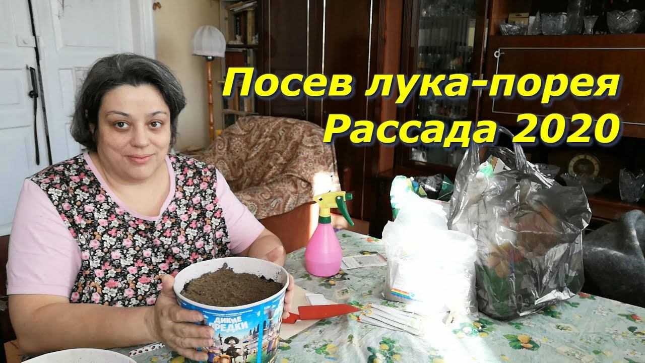 Сею лук-порей
