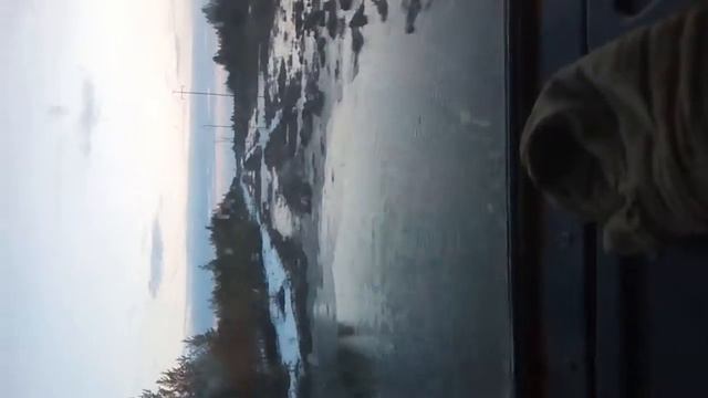 Сургут смотреть онлайн