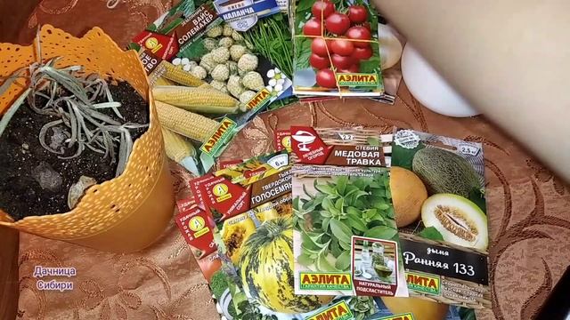 Семена 2022 г.Посылка от Аэлиты.