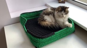Лежанка для кота своими руками