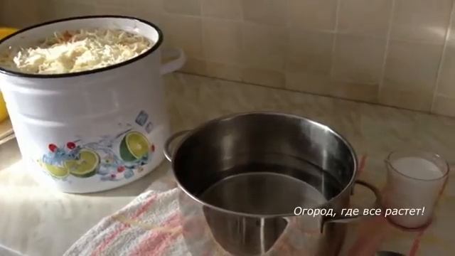 Капуста, которая будет хрустеть до весны.mp4 смотреть онлайн