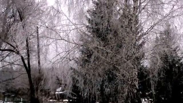 СКАЗКА ЗИМНЕГО ЛЕСА смотреть онлайн