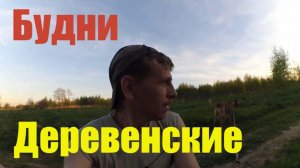 Деревенские Будни // Вспахали за 2 000 руб // Очень теплый май