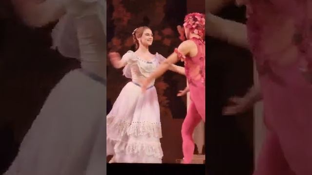 Балет "Видение розы" Михаила Фокина (муз. Карла Марии фон Вебера); Мариинский театр (14.11.2023) 4
