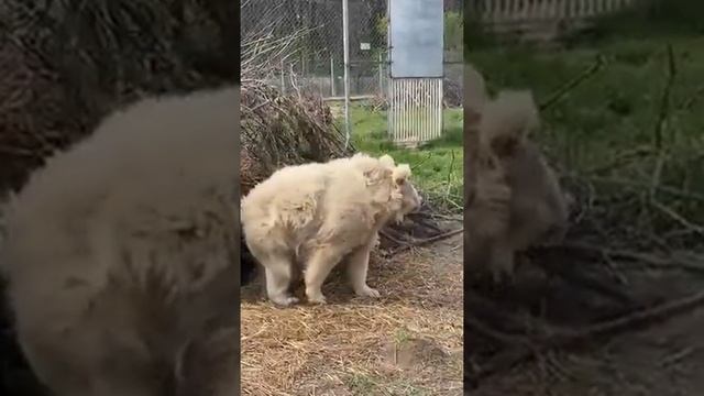 Первый день после отпуска