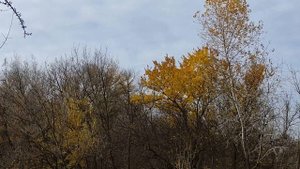 Самые сильные Знаки Зодиака...