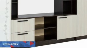 Стенка Флора, Лоредо, БТС (Россия) в деталях