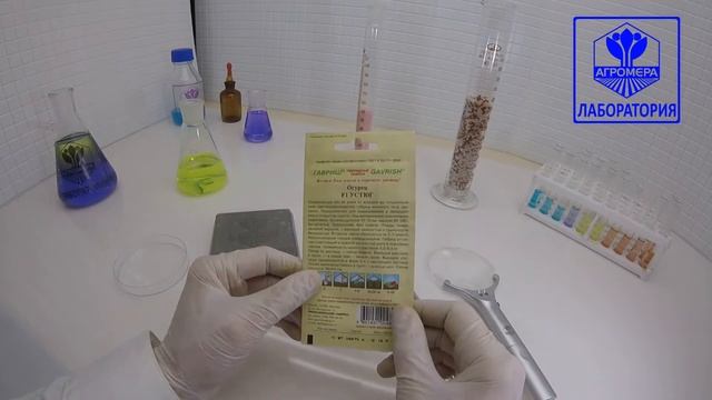 Огурец Устюг F1. Гавриш смотреть онлайн