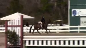 Video of WOODLANDS GARDENIA ridden by MADELEINE FLOCKS from ShowNet!