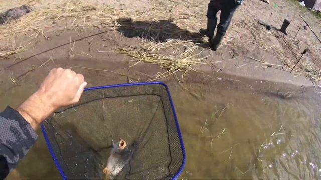 Рыбалка в Астане! оз. Узунколь! Огромный Сазан Карп смотреть онлайн