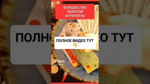 ВОЛШЕБСТВО ЗОЛОТОЙ АНТИЛОПЫhttps://rutube.ru/video/2605282144e #онлайн #ритуал #shorts #светланаведа