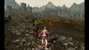 Skyrim Прикол 38