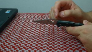 Мысли о ноже: Spyderco Delica ZDP-189
