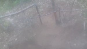 Петля на глухаря