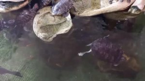 Санаторий Планета в Евпатории и чем он интересен?!