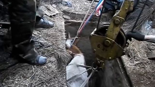 спасение беременной коровы смотреть онлайн