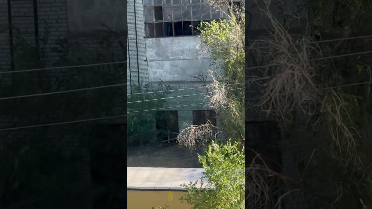 Airsoft carbine KIT for Glock 19#fakegun #airsoftpistol #airsoftshorts #airsoftnation смотреть онлайн