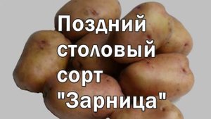 Лучшие Сорта Картофеля Для Жарки