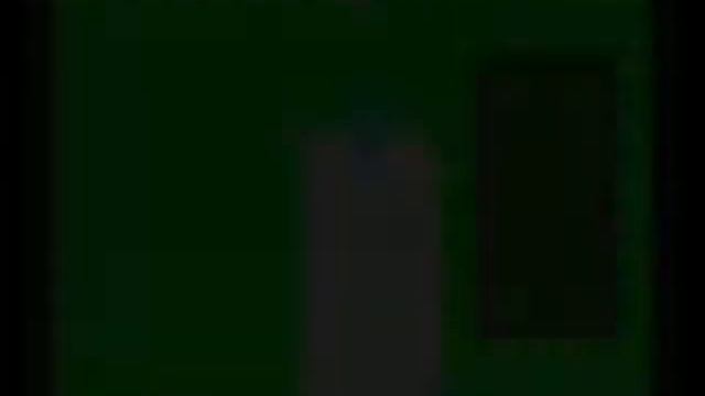 Brian Lara Cricket '96 - Bowling