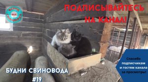 Привет в далекие Эмираты!)