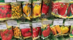 Маленький садовый центр/Насенне/ Семена, удобрения. Цены в российских рублях.