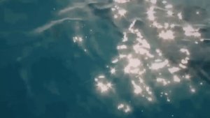 10 МЕГАЛОДОНОВ СНЯТЫХ НА КАМЕРУ!!! НАПАДЕНИЯ МЕГАЛОДОНА.