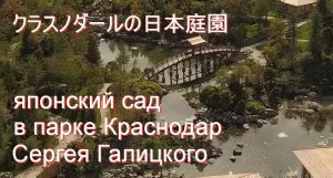 Галицкий строит японский сад в своём в парке Краснодар