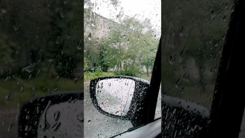 Долгожданный ДОЖДЬ в Питере ️☔️️