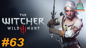 Ведьмак 3  The Witcher 3.  НЕСВОБОДНЫЙ НОВИГРАД Прохождение часть 63