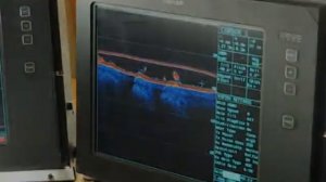 Гидроакустика на практике