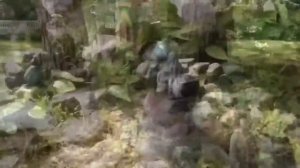 Светлогорск   Раушен  Балтика  2015