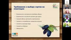 Опыт выращивания жимолости в КФХ “Шуйские ягоды”. Королев В.В., Засько В.А.