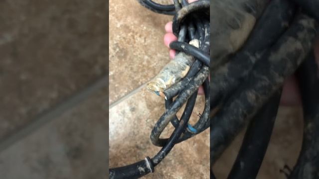 10 апреля 2023 г. смотреть онлайн