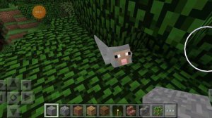 Аномалия в майнкрафт