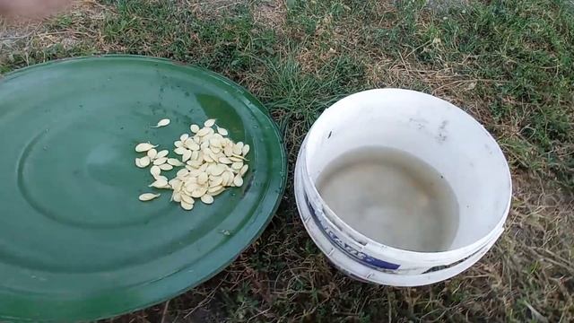 Гарбуз данка полька смотреть онлайн