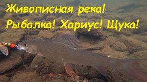 Рыбалка на живописной реке. Спининг, Хариус, Щука и просто отличная природа. Рыбалка на Урале 2020.