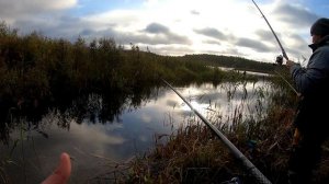 РЫБАЛКА НА КАРАСЯ на ПОПЛАВОК!!Рыбалка на поплавок осенью