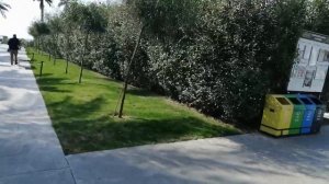 Отель Voyage Belek (Вояж Белек) 5* зимой.