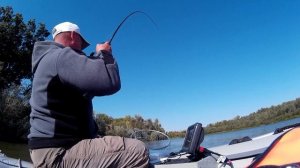 Ловля судака в коряжнике  река Дон 2017г