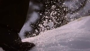 ОХОТА С КАРАБИНОМ Blaser R8... МЕТКИЙ ВЫСТРЕЛ.