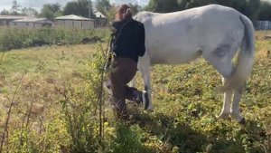 ТРЕНИРОВКА ПО КОННОМУ СПОРТУ/ упала с лошади