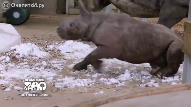 Когда первый раз увидел снег смотреть онлайн