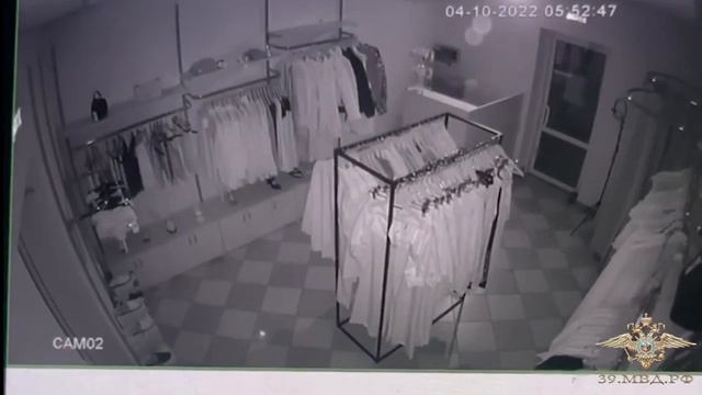 серийный вор, Калининград смотреть онлайн