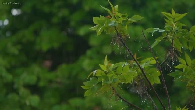 10 часов музыки для сна + звук дождя, музыка для индукции сна, музыка для снятия стресса смотреть онлайн