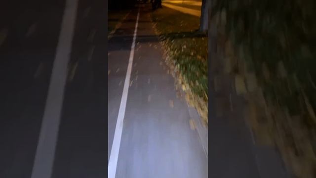 Идеальное место для езды на электросамокате смотреть онлайн