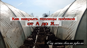 Как накрыть теплицы плёнкой от А до Я... КЛУБНИКА первогодка