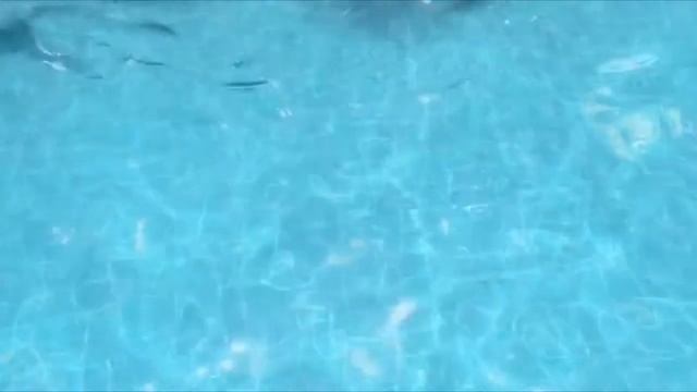 Остров Велассару с одной из лучших лакшери гостиниц на Мальдивах. Плюсы и минусы! Velassaru Maldive