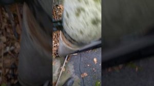 Простое крепление для забора на круглых столбах.